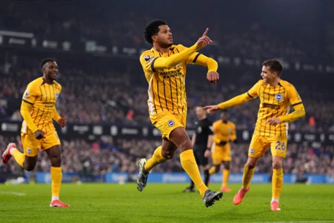 بمشاركة سام مرسي.. إيبسويتش تاون يسقط أمام برايتون بثنائية في الدوري الإنجليزي